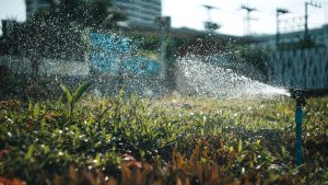 Irrigazione smart in giardino e in terrazzo: quali sistemi fanno risparmiare di più?